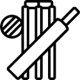 cricket-icon